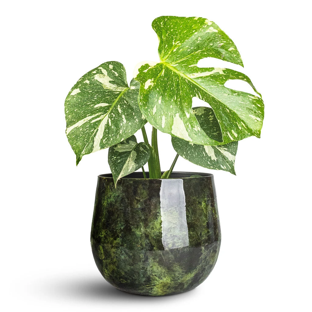 Emmie Metal Plant Pot - Mystic Green 13 Emmie Metal Plant Pot - Mystic Green - Image 11