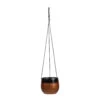 Mya Hanging Planter - Shiny Mocha -Plant Promotion Store Mya Hanging Planter Shiny Mocha 18x16cm 2