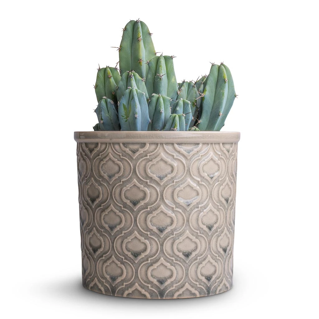 Venetian Plant Pot - Grey 9 Venetian Plant Pot - Grey - Image 7