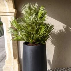 Nax Natural Tall Planter - Black 16 Nax Natural Tall Planter - Black -Plant Promotion Store Nax Natural Tall Planter Black 1