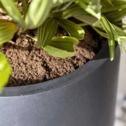 Nax Natural Tall Planter - Black 15 Nax Natural Tall Planter - Black -Plant Promotion Store Nax Natural Tall Planter Black 2