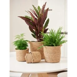 Nelis Plant Basket - Natural 36 Nelis Plant Basket - Natural -Plant Promotion Store Nelis Plant Basket Natural LS1