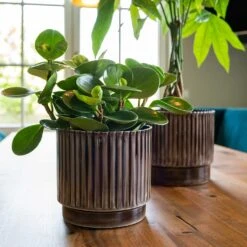 Nella Plant Pot - Coffee 13 Nella Plant Pot - Coffee -Plant Promotion Store Nella Coffee 1