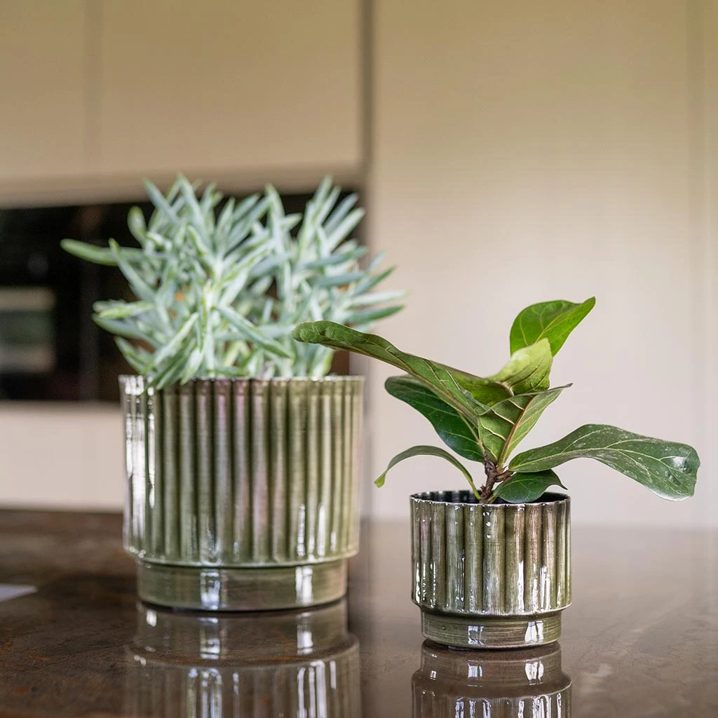 Nella Plant Pot - Forest 4 Nella Plant Pot - Forest - Image 2