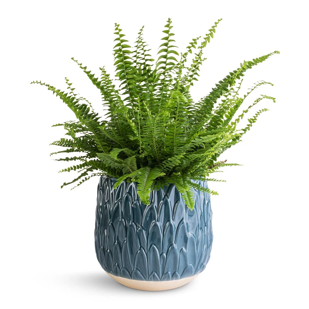 Arles Leaf Plant Pot - Teal 4 Arles Leaf Plant Pot - Teal - Image 2