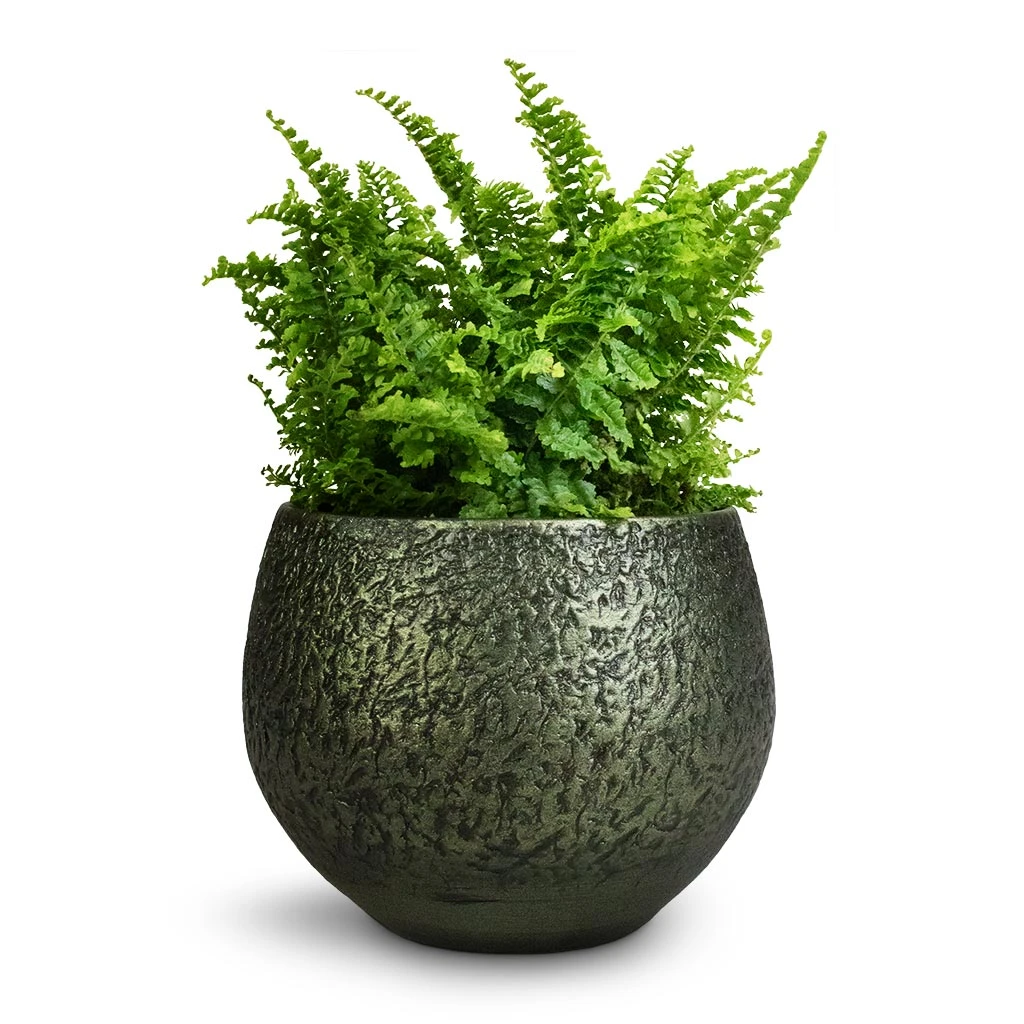 Noor Plant Pot - Velvet Green 17 Noor Plant Pot - Velvet Green - Image 15