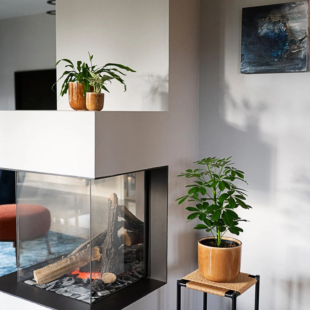 Nine Plant Pot - Caramel 6 Nine Plant Pot - Caramel - Image 4