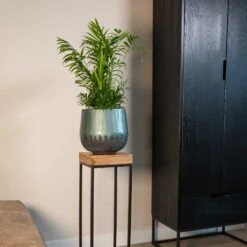 Ninthe Metal Plant Pot - Metallic Petrol 24 Ninthe Metal Plant Pot - Metallic Petrol -Plant Promotion Store Ninthe metallic green 01
