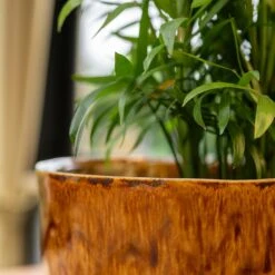 Nolan Plant Pot - Caramel 31 Nolan Plant Pot - Caramel -Plant Promotion Store Nolan Caramel 3