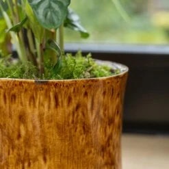 Nolan Plant Pot - Caramel 32 Nolan Plant Pot - Caramel -Plant Promotion Store Nolan Caramel 6