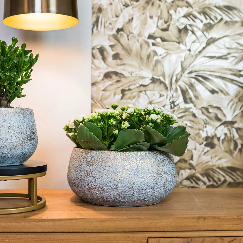 Noor Plant Bowl - Metallic Grey 4 Noor Plant Bowl - Metallic Grey - Image 2