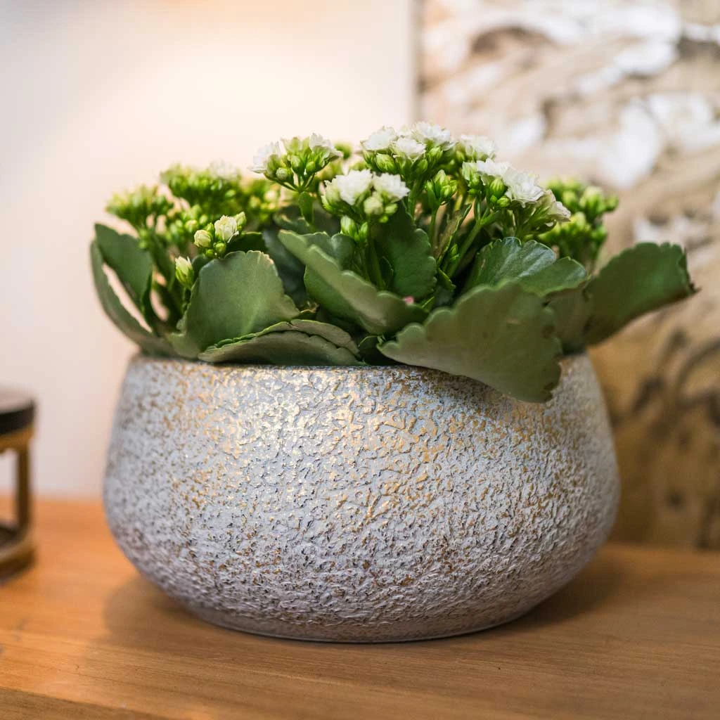 Noor Plant Bowl - Metallic Grey 6 Noor Plant Bowl - Metallic Grey - Image 4