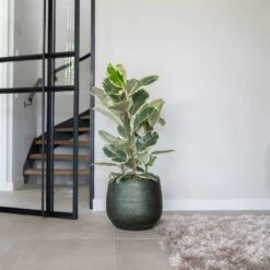 Noor Plant Pot - Velvet Green 25 Noor Plant Pot - Velvet Green -Plant Promotion Store Noor Plant Pot Velvet Green 4