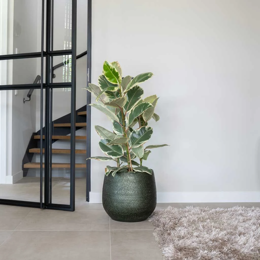 Noor Plant Pot - Velvet Green 6 Noor Plant Pot - Velvet Green - Image 4