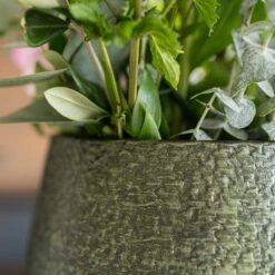Noor Plant Vase - Velvet Green -Plant Promotion Store Noor Plant Pot Velvet Green 5 c5477a95 00c2 40e5 97f9 53e78b6bc95c