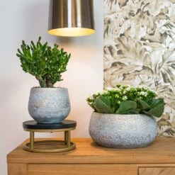 Noor Plant Bowl - Metallic Grey 12 Noor Plant Bowl - Metallic Grey -Plant Promotion Store Noor metalic grey 01