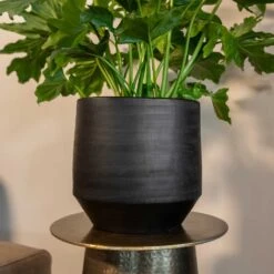 Norell Plant Pot - Black -Plant Promotion Store Norell black 03