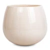 Nova Plant Pot - Cream -Plant Promotion Store Nova Plant Pot Cream 23x18cm