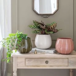 Nova Plant Pot - Cream 14 Nova Plant Pot - Cream -Plant Promotion Store Nova Plant Pot Rose 23 x 18cm 2