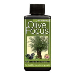 Olive Focus - Plant Nutrition