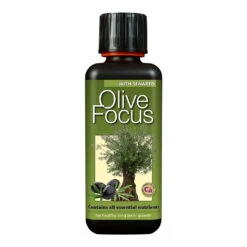 Olive Focus - Plant Nutrition -Plant Promotion Store Olive Focus 300 ml 8f3ed65b f732 43d4 9eb2 7216612bdabf