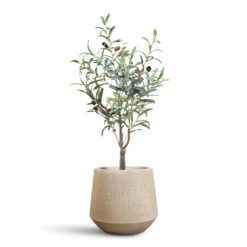 Raindrop Tube Round Planter - Stone 21 Raindrop Tube Round Planter - Stone -Plant Promotion Store Olive Tree Artificial 90cm Raindrop Tube Round Planter Stone 30x26cm