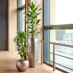 Opus Hammered Globe Planter - Silver 20 Opus Hammered Globe Planter - Silver -Plant Promotion Store Opus Hammered Globe Silver Opus Hammered Partner Silver