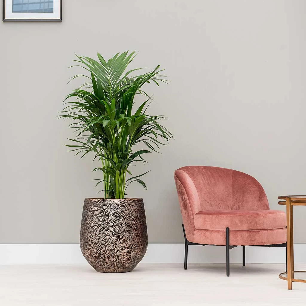 Opus Hit Darcy Planter - Gold 4 Opus Hit Darcy Planter - Gold - Image 2