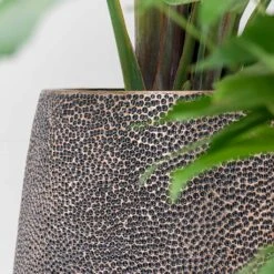 Opus Hit Darcy Planter - Gold 36 Opus Hit Darcy Planter - Gold -Plant Promotion Store Opus Hit Darcy Planter Gold Textures