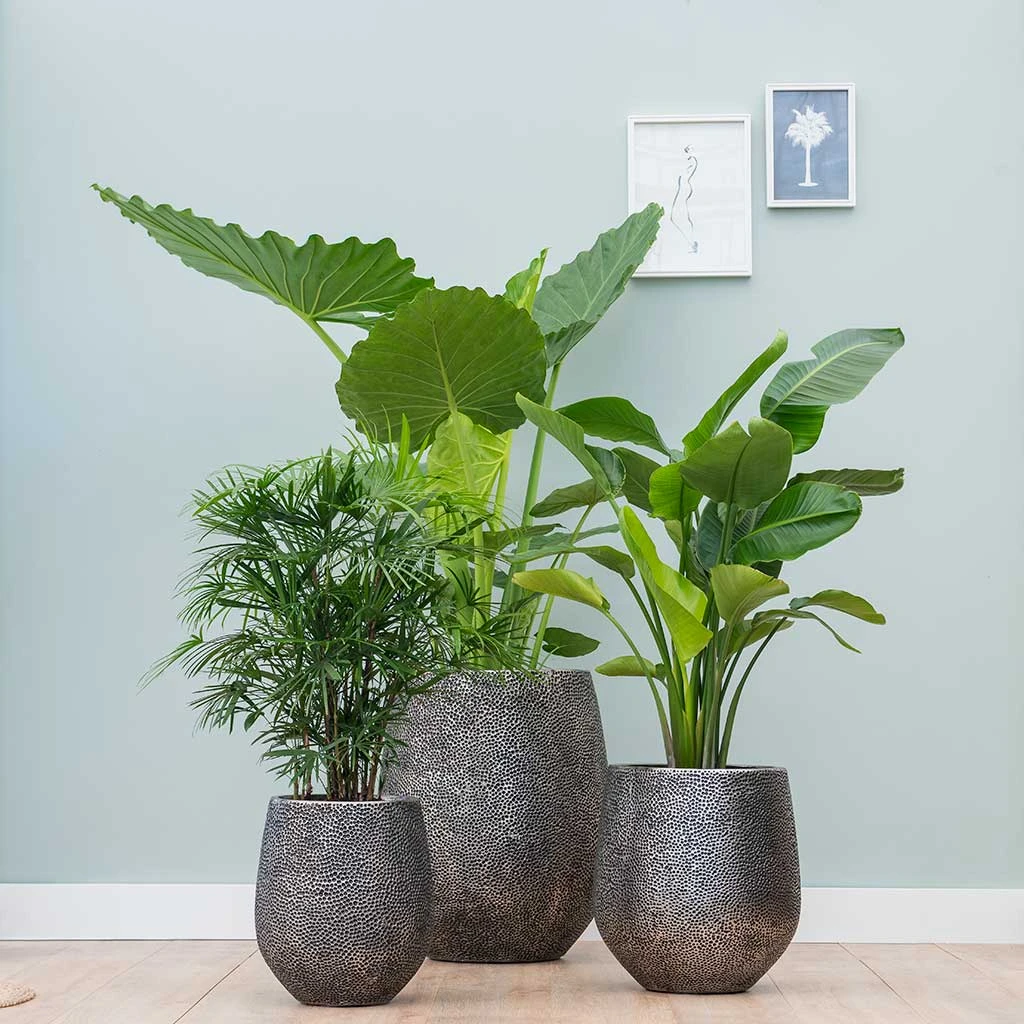 Opus Hit Darcy Planter - Silver 4 Opus Hit Darcy Planter - Silver - Image 2