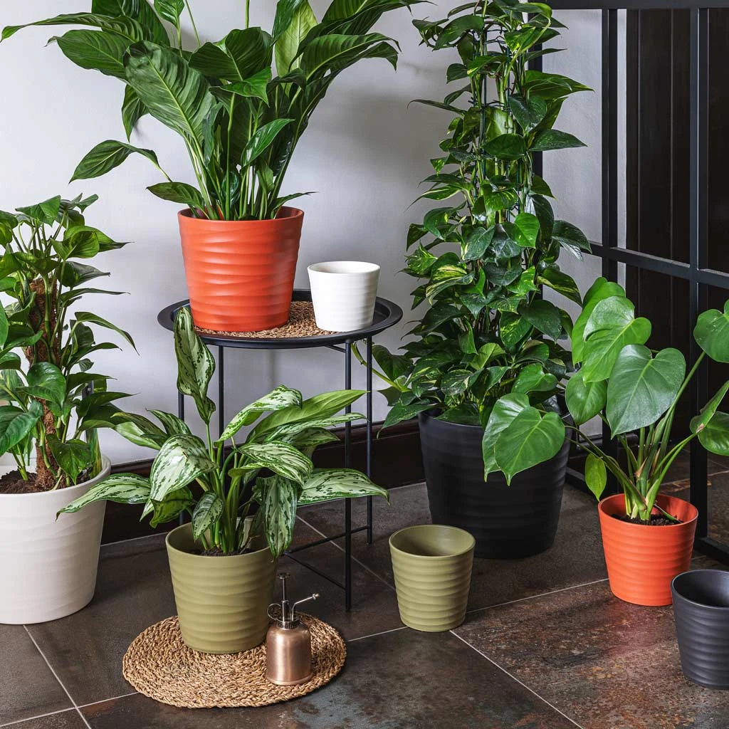 Oslo Plant Pot - Anthracite 4 Oslo Plant Pot - Anthracite - Image 2