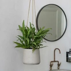Patt Hanging Plant Pot - Grey Washed 36 Patt Hanging Plant Pot - Grey Washed -Plant Promotion Store Patt Hanging Plant Pot Grey Washed