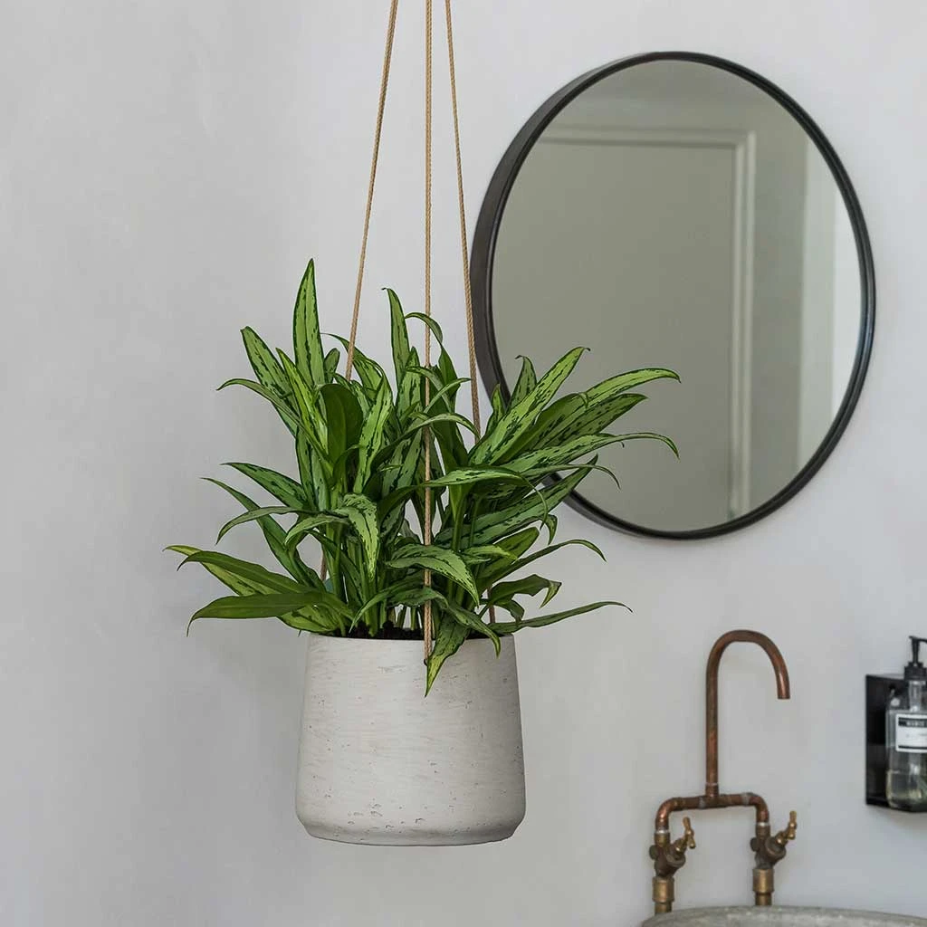 Patt Hanging Plant Pot - Grey Washed 18 Patt Hanging Plant Pot - Grey Washed - Image 16