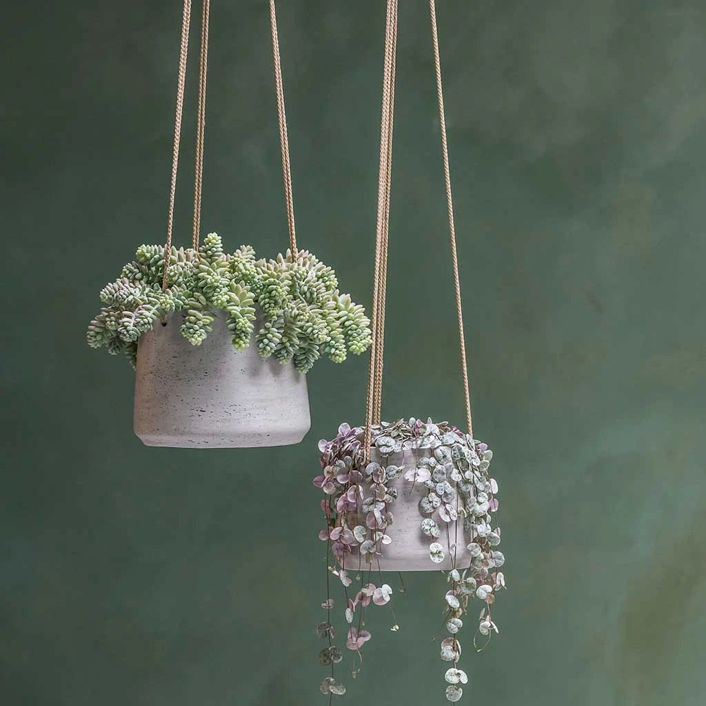 Patt Hanging Plant Pot - Grey Washed 4 Patt Hanging Plant Pot - Grey Washed - Image 2