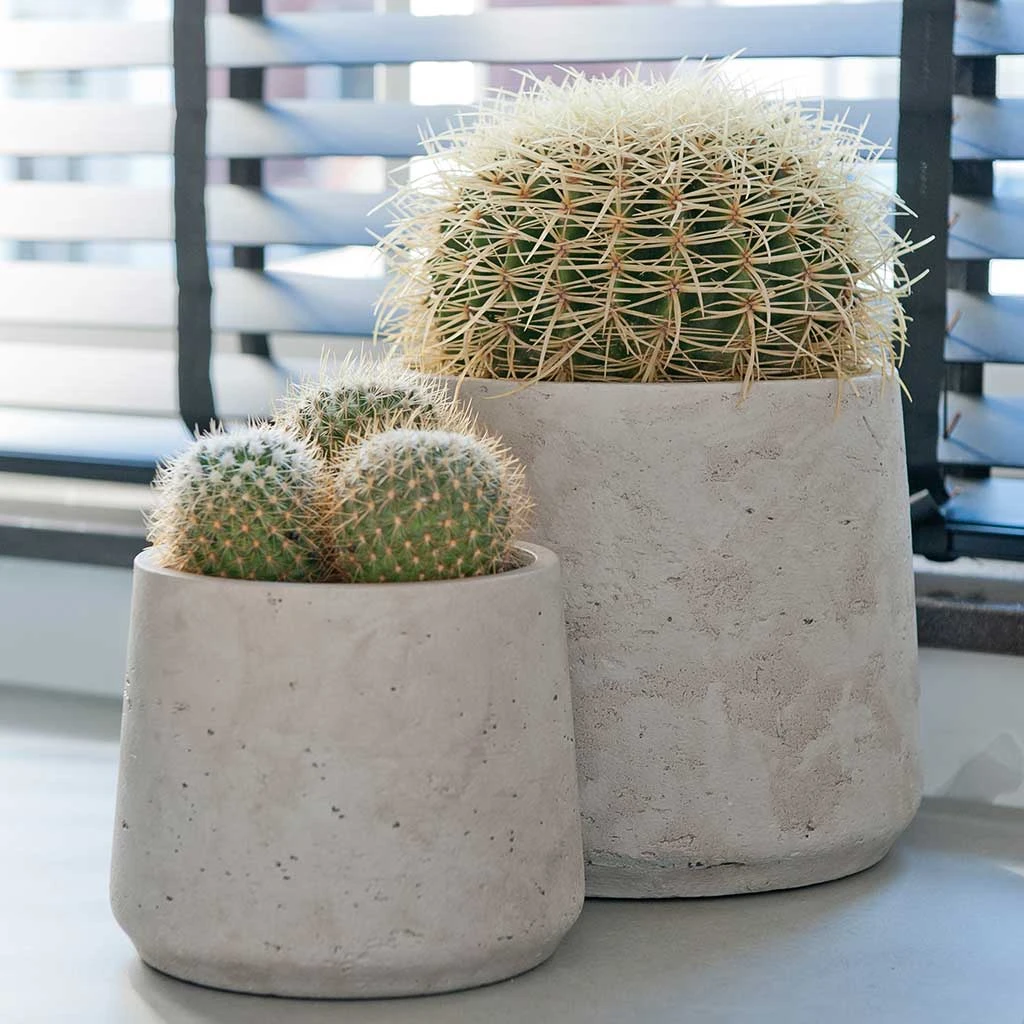 Patt Plant Pot - Grey Washed 11 Patt Plant Pot - Grey Washed - Image 9