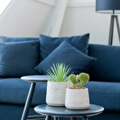 Patt Plant Pot - Grey Washed 25 Patt Plant Pot - Grey Washed -Plant Promotion Store Patt Plant Pot Grey Washed Houseplants