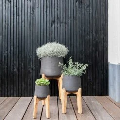 Patt Plant Pot - Tall Stand - Black Washed 14 Patt Plant Pot - Tall Stand - Black Washed -Plant Promotion Store Patt Plant Pot Tall Stand Black Washed Lifestyle 01