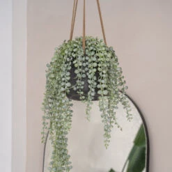 Patt Hanging Plant Pot - Black Washed -Plant Promotion Store PattHangingPlantPot BlackWashed 3
