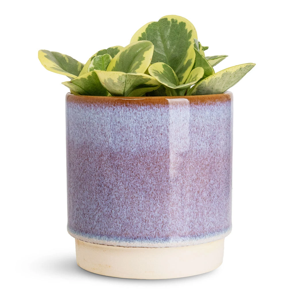 Copenhagen Plant Pot - Blue 8 Copenhagen Plant Pot - Blue - Image 6