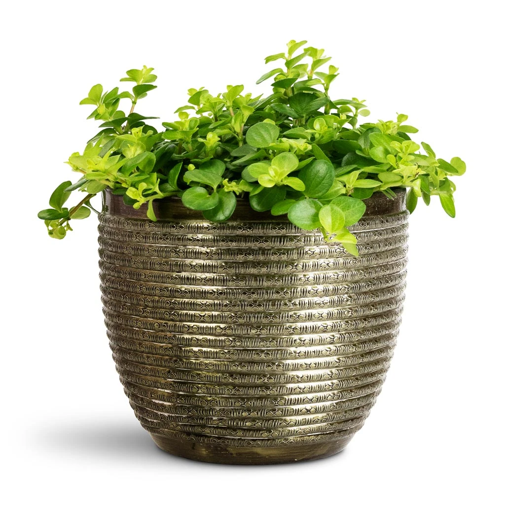 Elise Metal Plant Pot - Green 9 Elise Metal Plant Pot - Green - Image 7