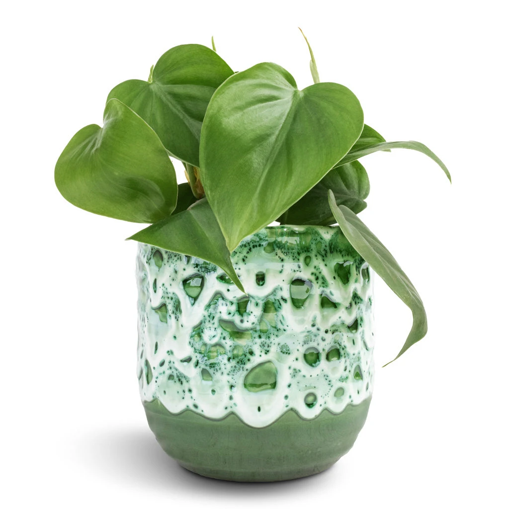 Ocean Glaze Plant Pot - Emerald 4 Ocean Glaze Plant Pot - Emerald - Image 2