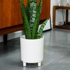 Pisa Plant Pot - White 15 Pisa Plant Pot - White -Plant Promotion Store Pisa Plant Pot White 20 x 24cm