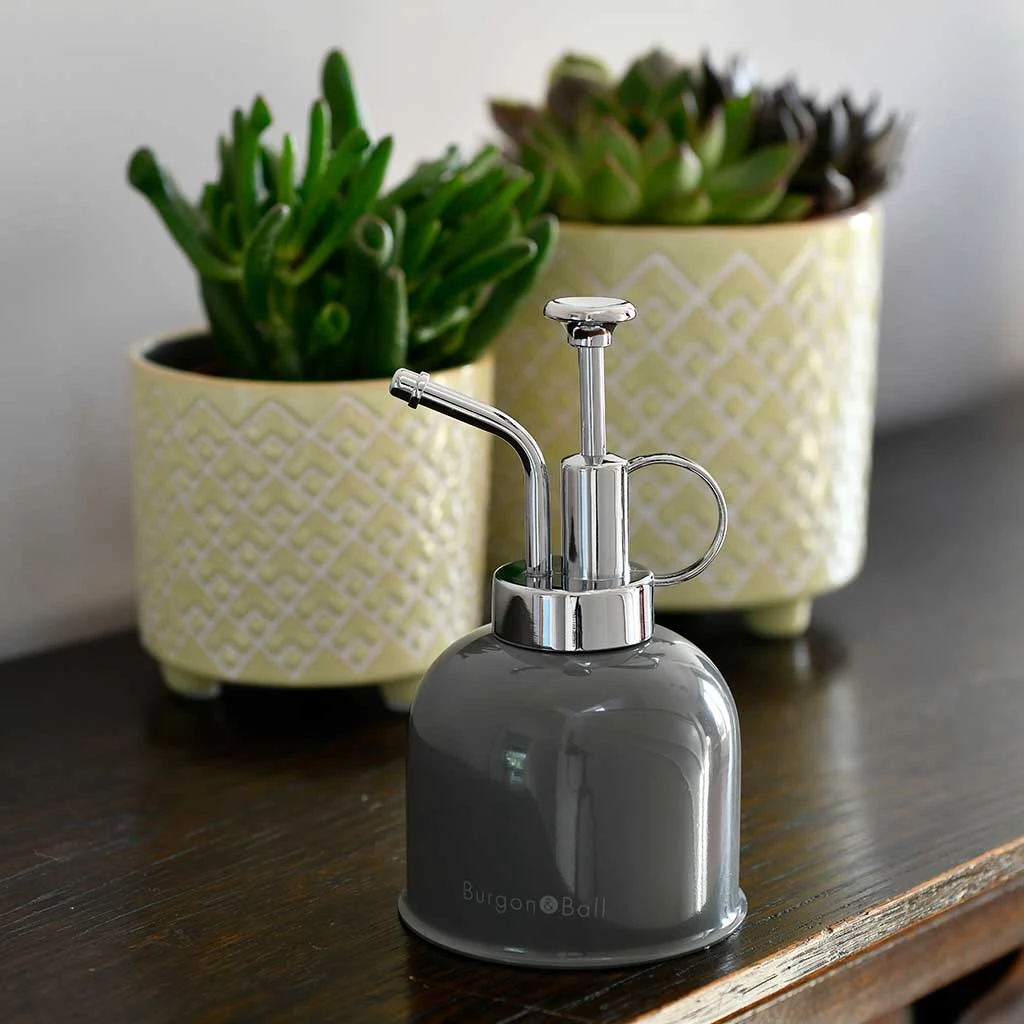 Indoor Plant Mister - Charcoal 6 Indoor Plant Mister - Charcoal - Image 4