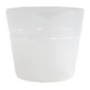 Plant Pot Liner 10cm -Plant Promotion Store Plant Pot Liner 10cm NK
