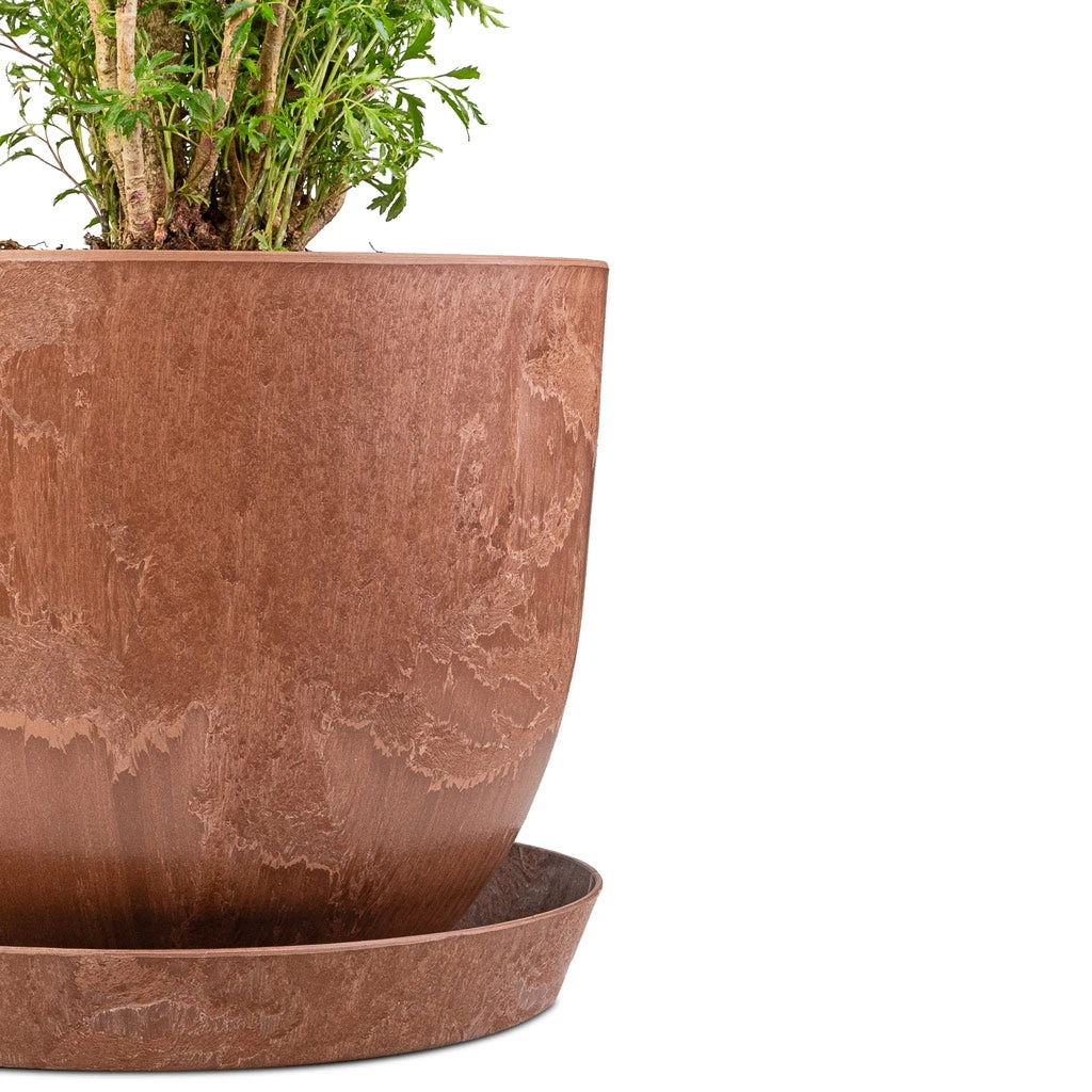 Bola Artstone Plant Pot - Oak 10 Bola Artstone Plant Pot - Oak - Image 8