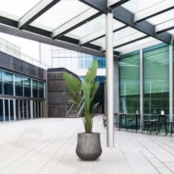 Polystone Coated Darcy Planter - Raw Grey 15 Polystone Coated Darcy Planter - Raw Grey -Plant Promotion Store Polystone Coated Darcy Planter Raw Grey LS1