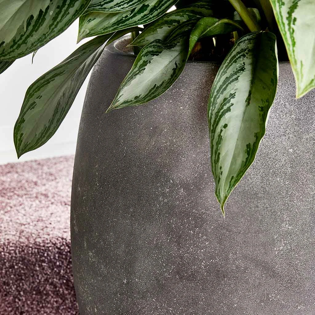 Polystone Coated Plain Balloon Planter - Raw Grey 5 Polystone Coated Plain Balloon Planter - Raw Grey - Image 3