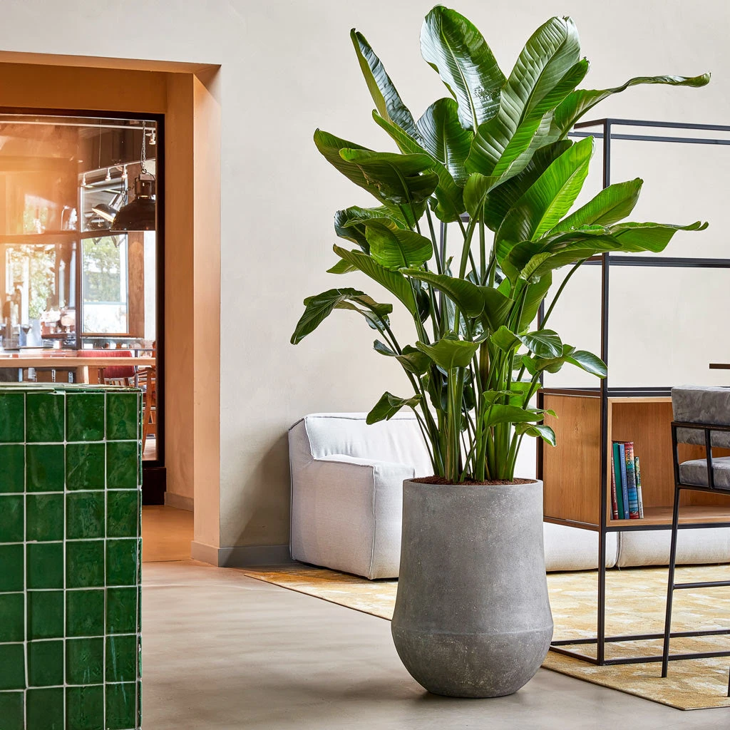 Polystone Coated Darcy Planter - Raw Grey 4 Polystone Coated Darcy Planter - Raw Grey - Image 2