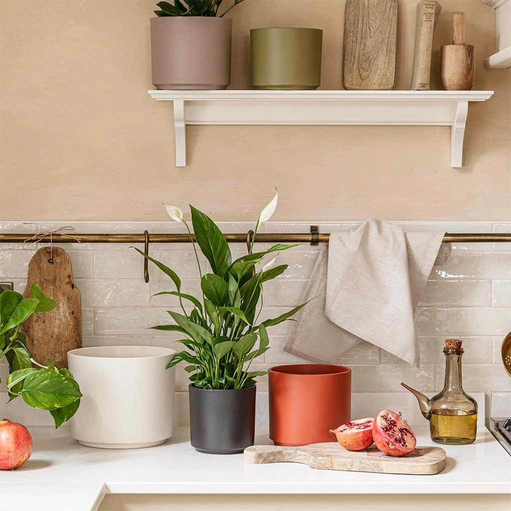 Prague Plant Pot - Cayenne 12 Prague Plant Pot - Cayenne - Image 10