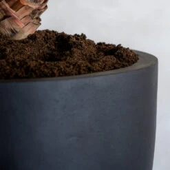 Jesslyn Natural Planter - Black 20 Jesslyn Natural Planter - Black -Plant Promotion Store ProductsJesslynNaturalPlanter Black 2